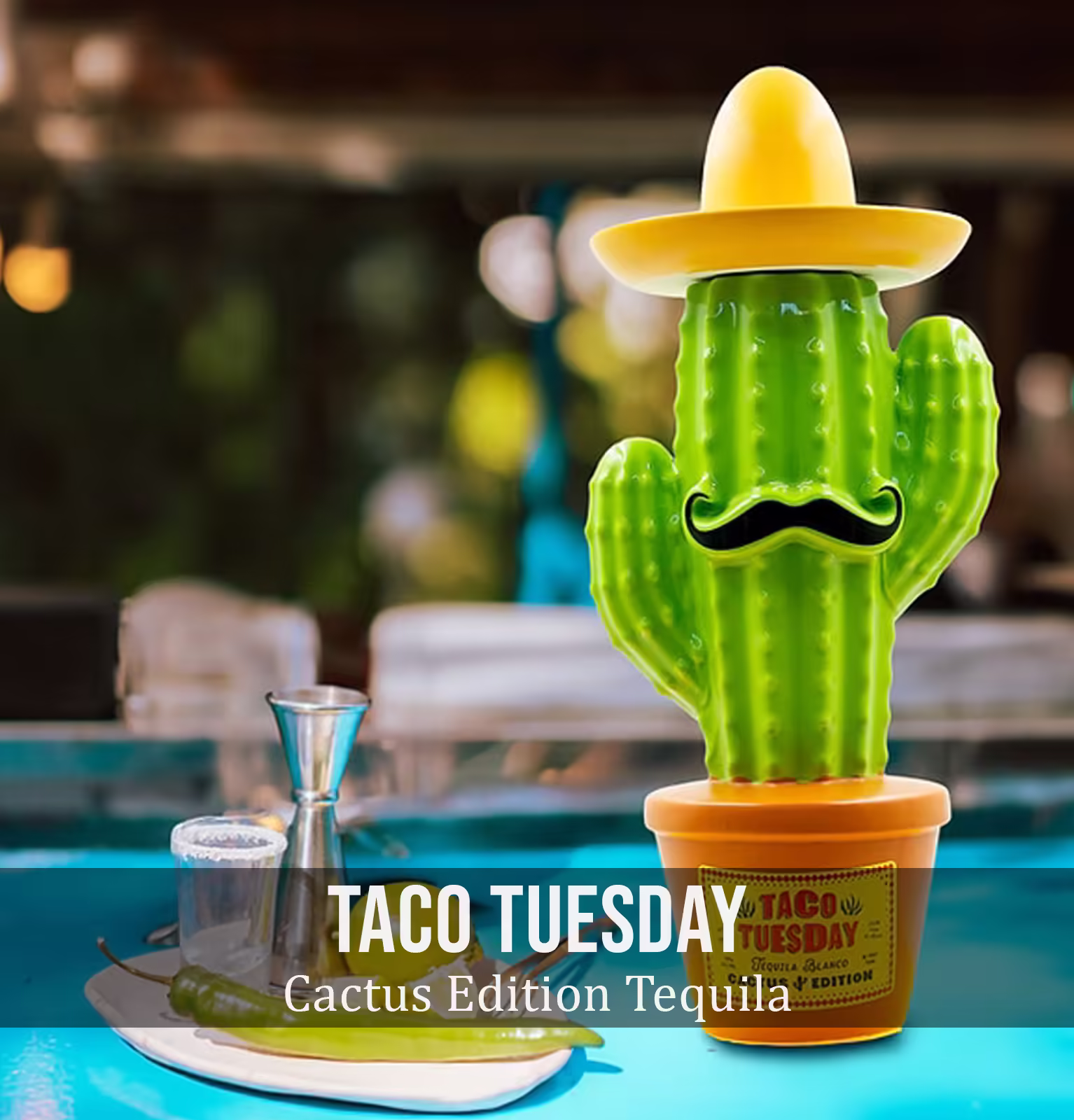 Taco Tuesday Blanco Tequila Cactus Edition