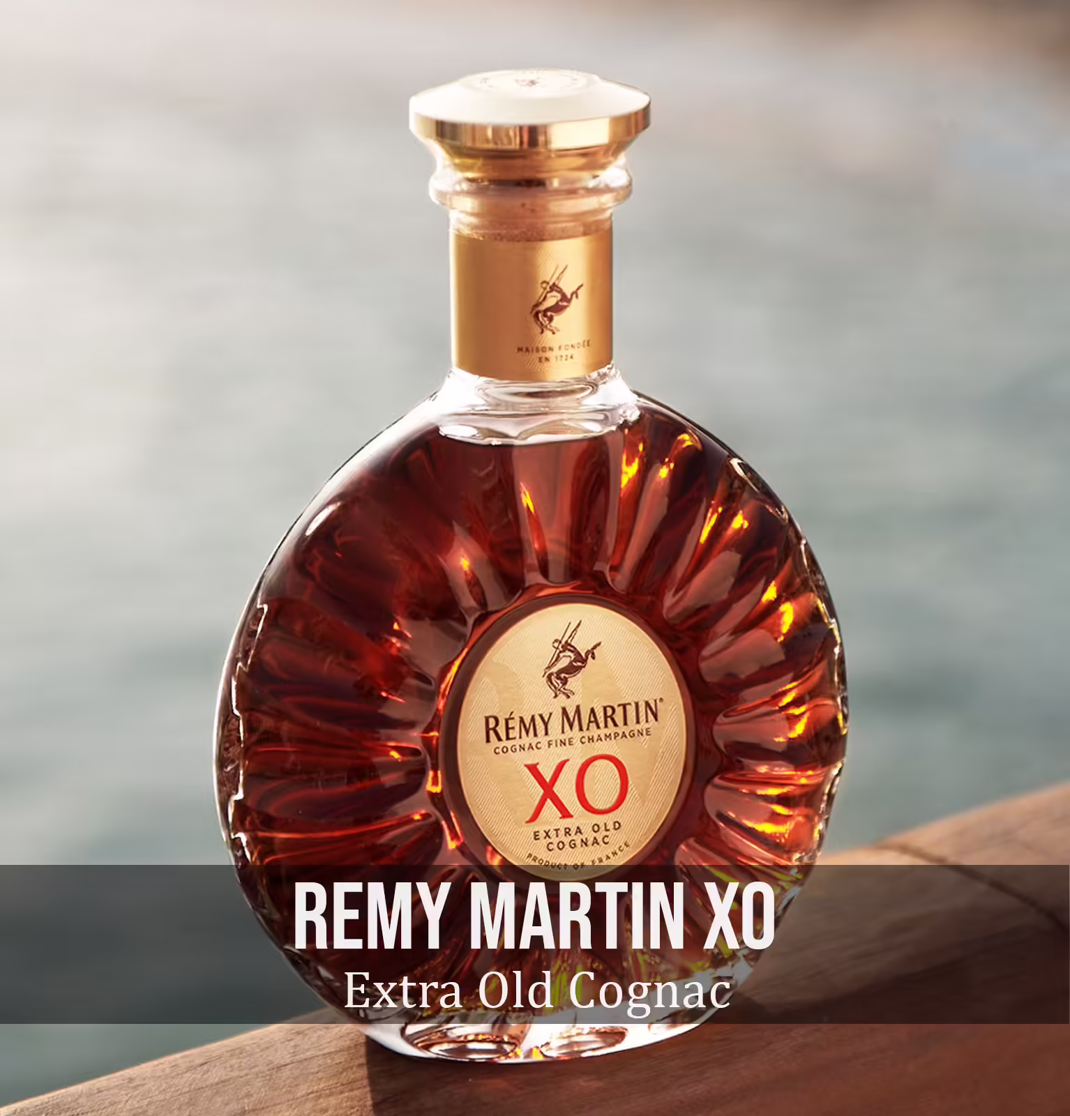 Remy Martin XO Cognac