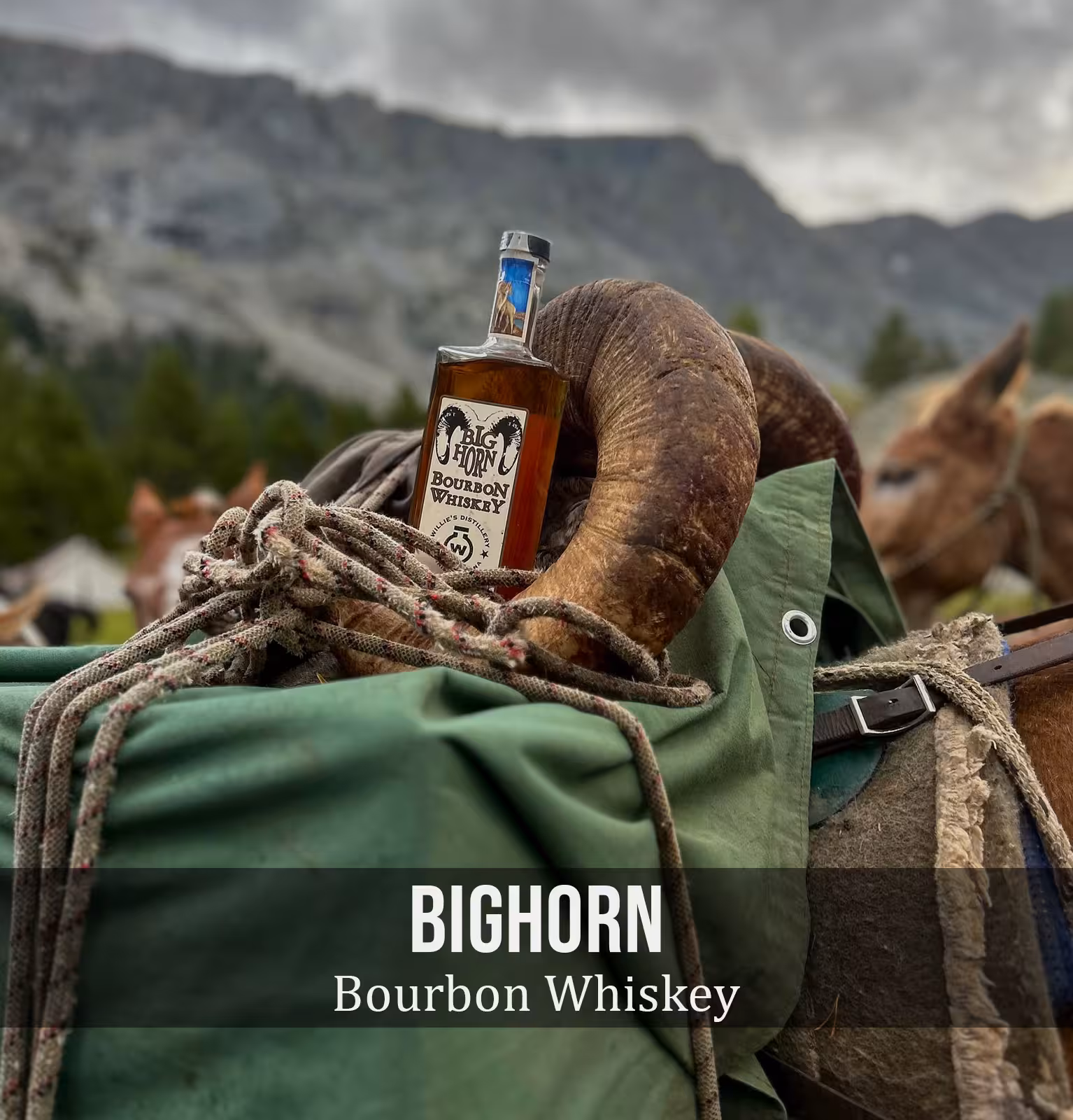 BigHorn Bourbon Whiskey