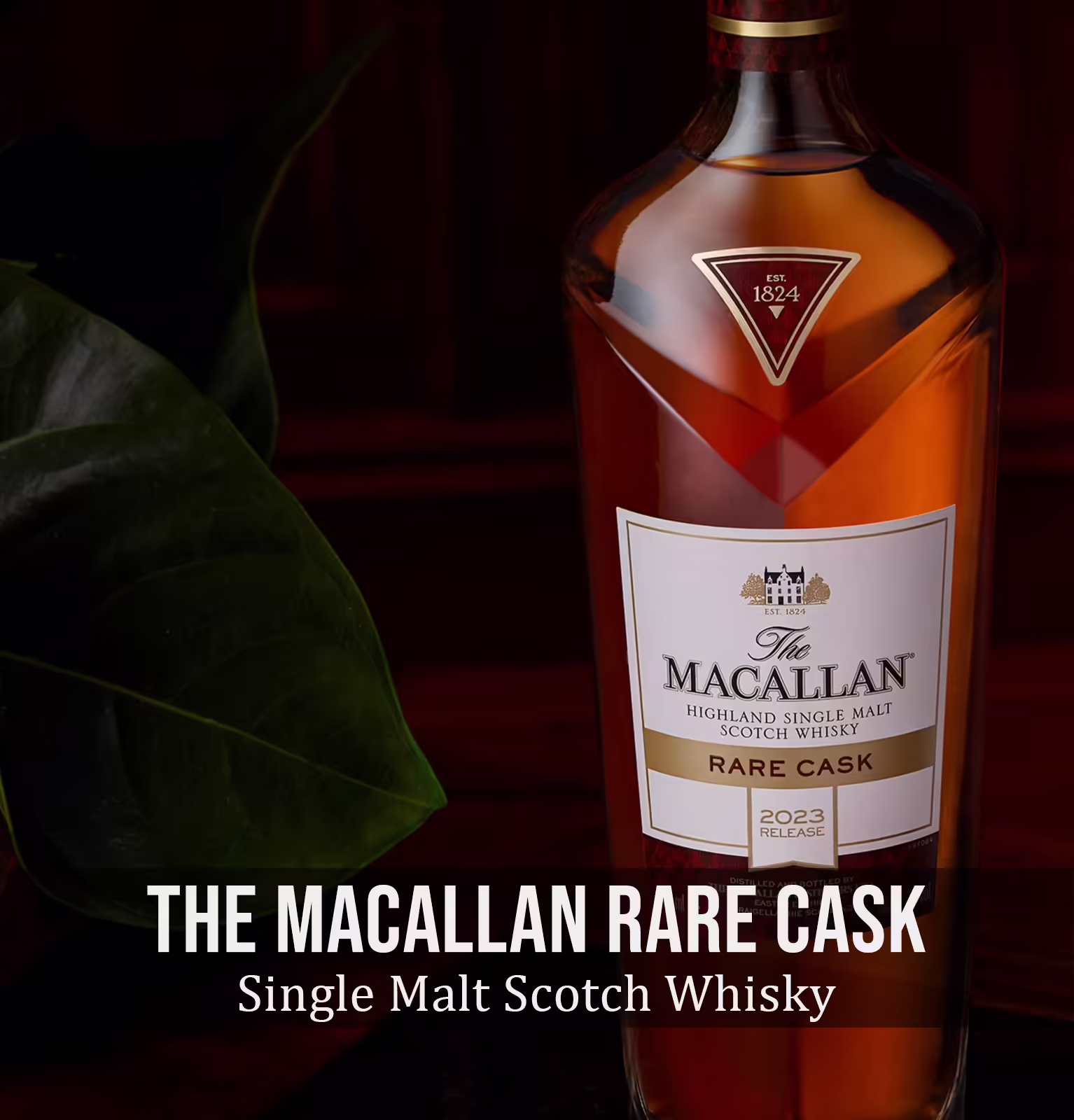 The Macallan Rare Cask Single Malt Scotch Whisky 2023
