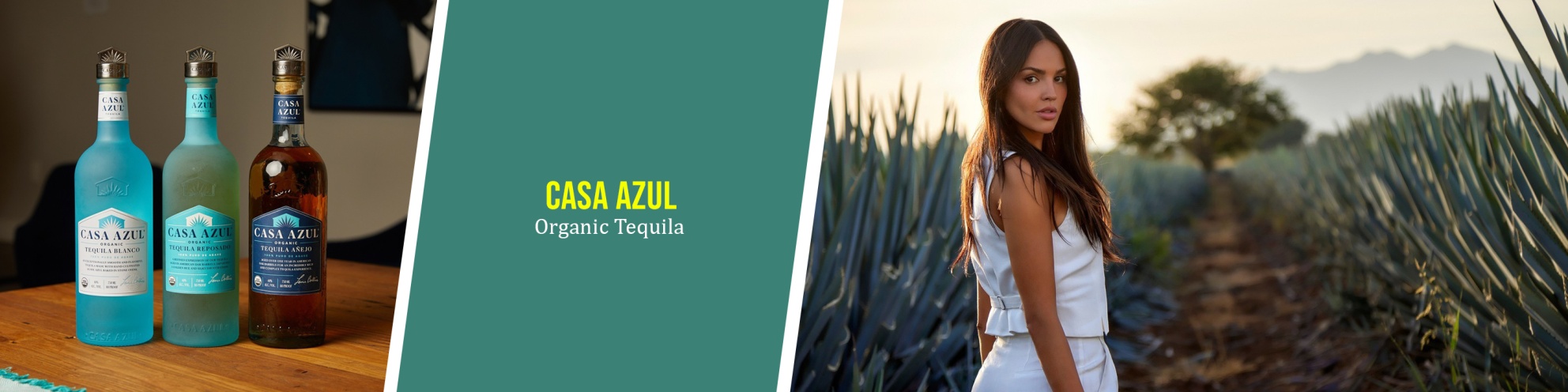 Casa Azul